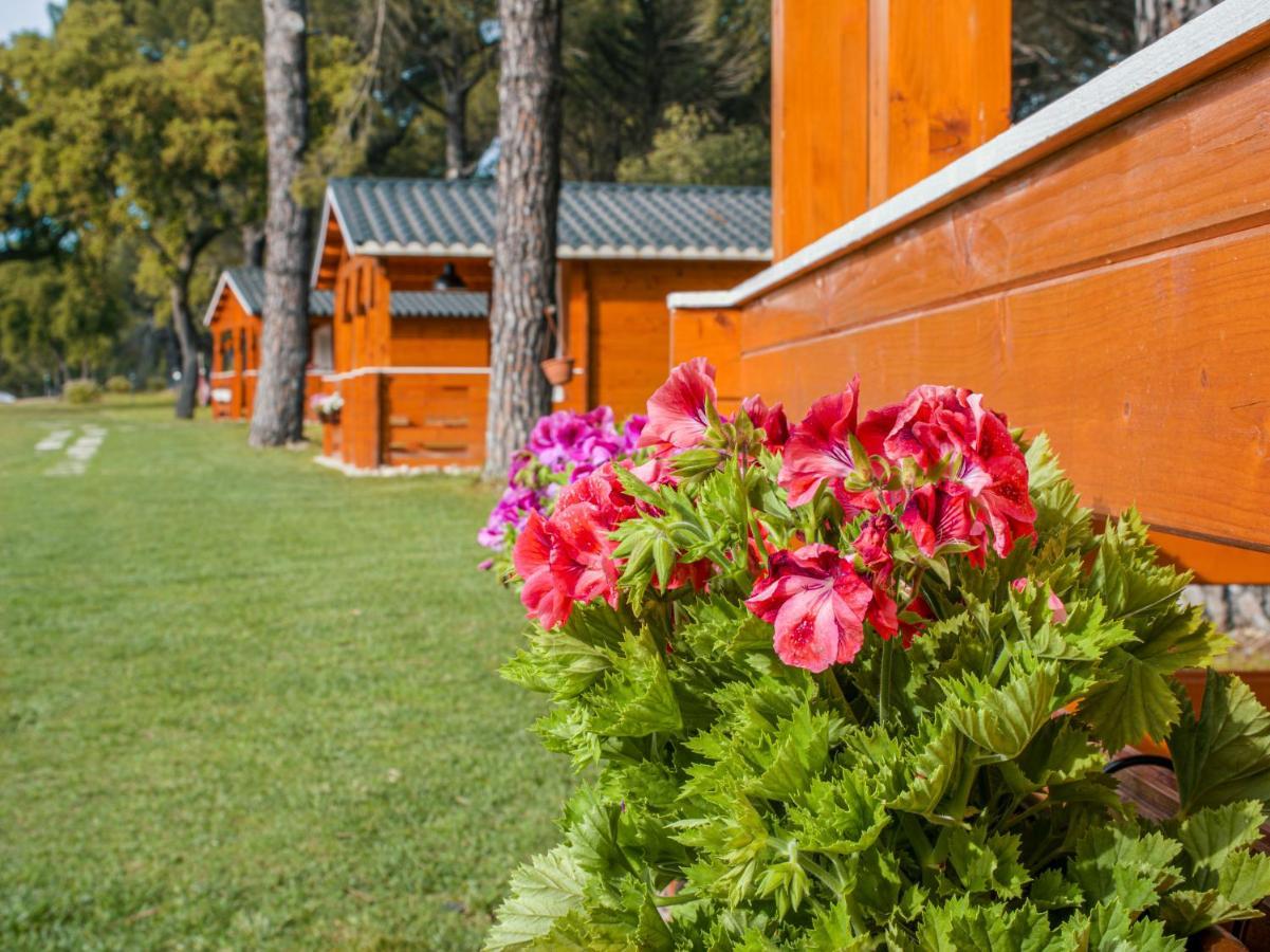 Chalet Do Lago Montargil Buitenkant foto